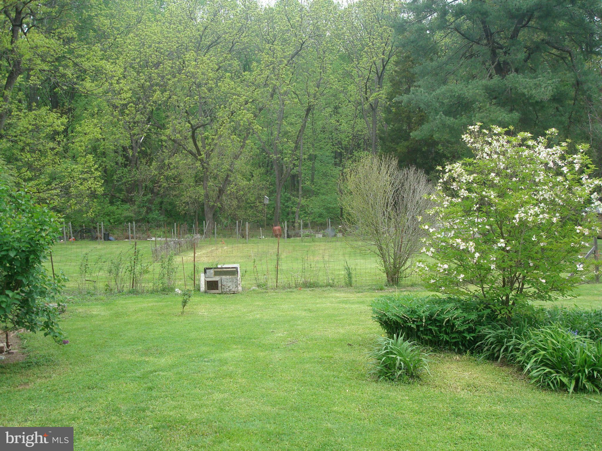 921 Grays Lane Silver Spring, MD 20902 - Photo 19 of 27 Lot View
