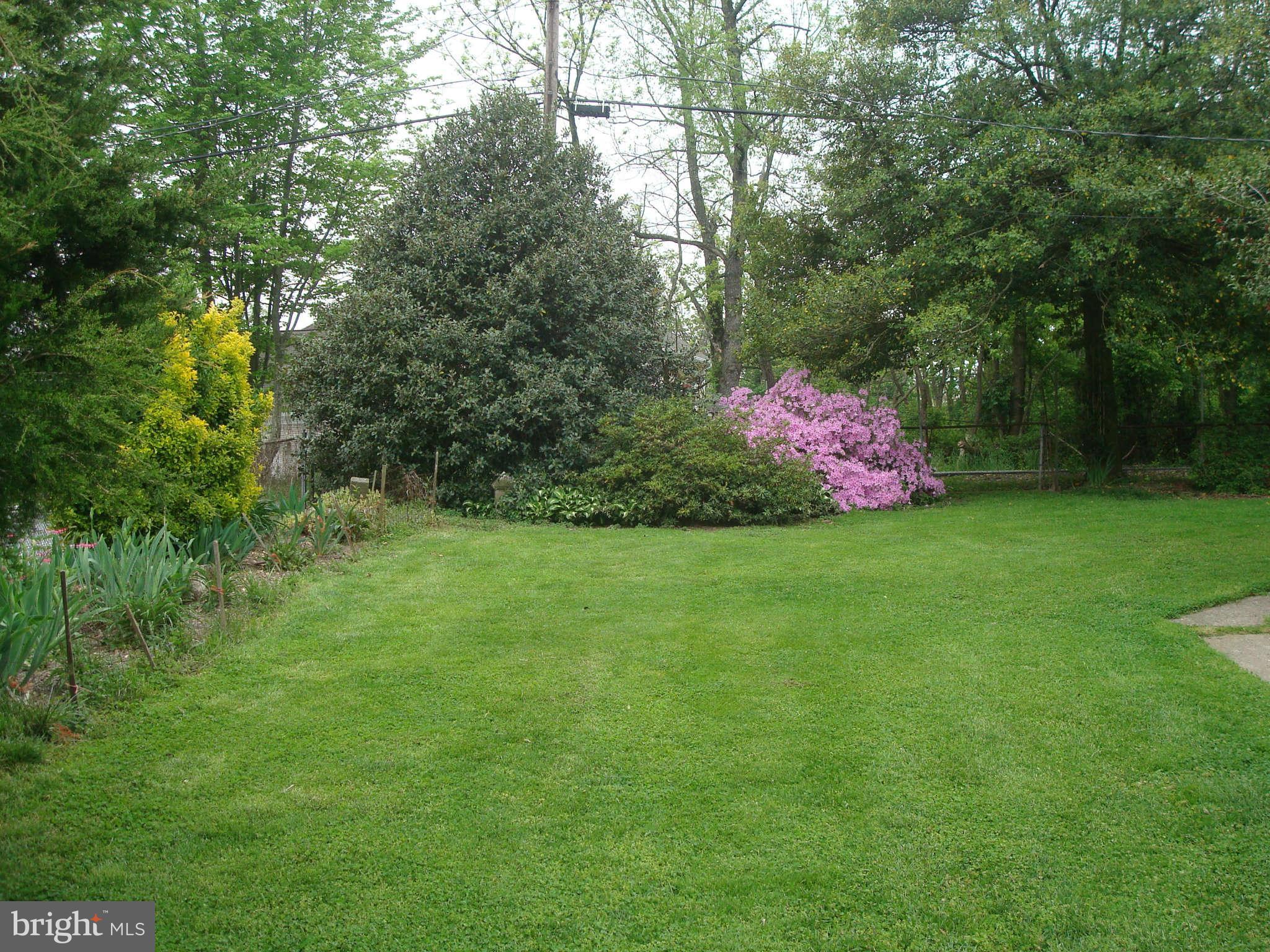 921 Grays Lane Silver Spring, MD 20902 - Photo 20 of 27 Yard