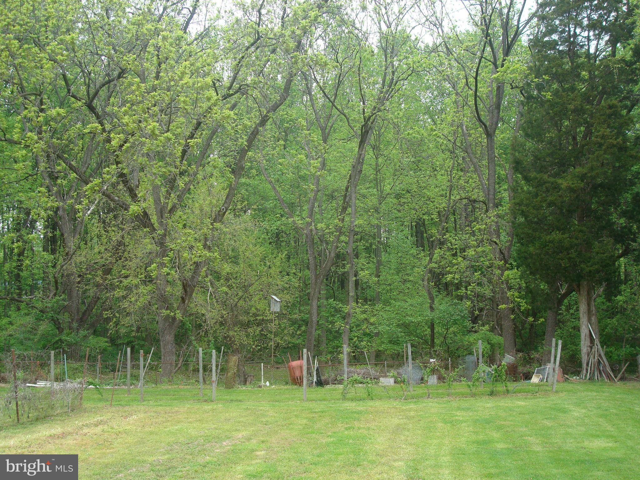 921 Grays Lane Silver Spring, MD 20902 - Photo 21 of 27 Lot View