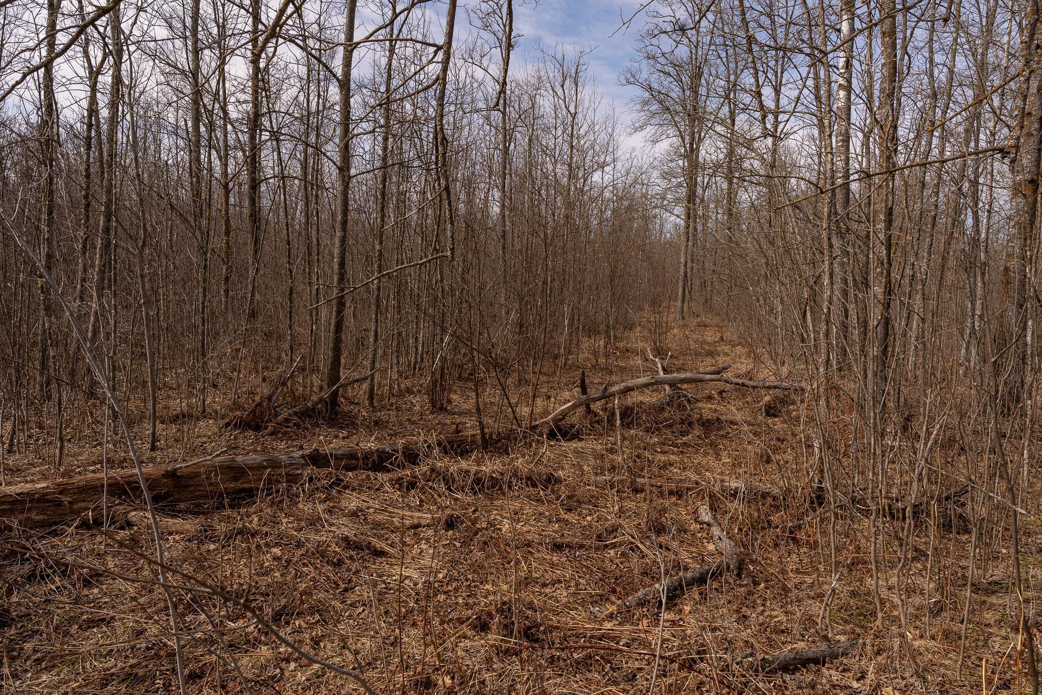 3781 Olympic Street Isle, MN 56342 - Photo 101 of 103