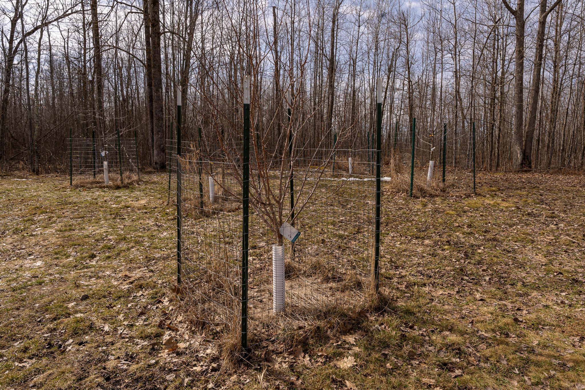 3781 Olympic Street Isle, MN 56342 - Photo 51 of 103