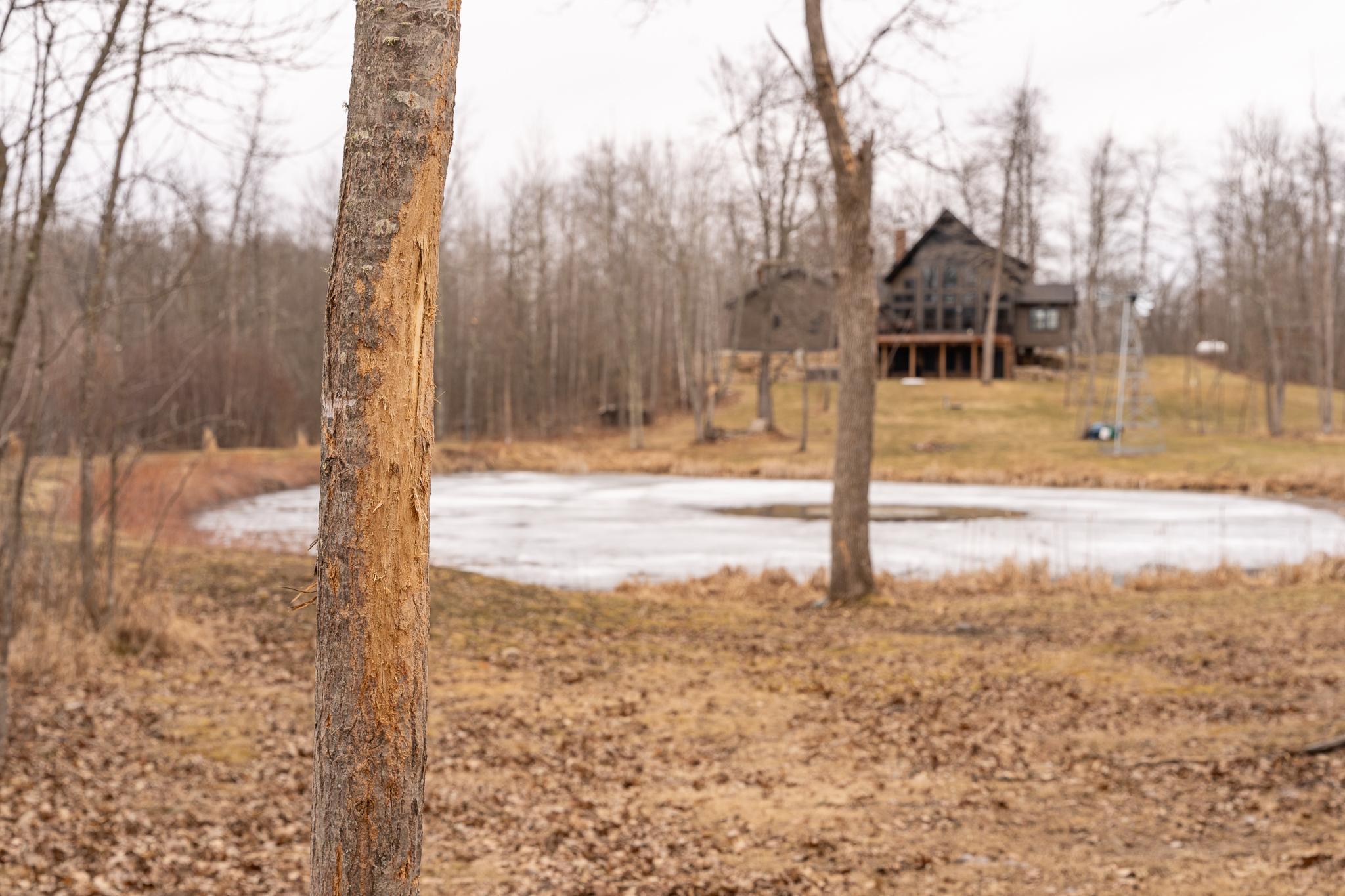 3781 Olympic Street Isle, MN 56342 - Photo 60 of 103