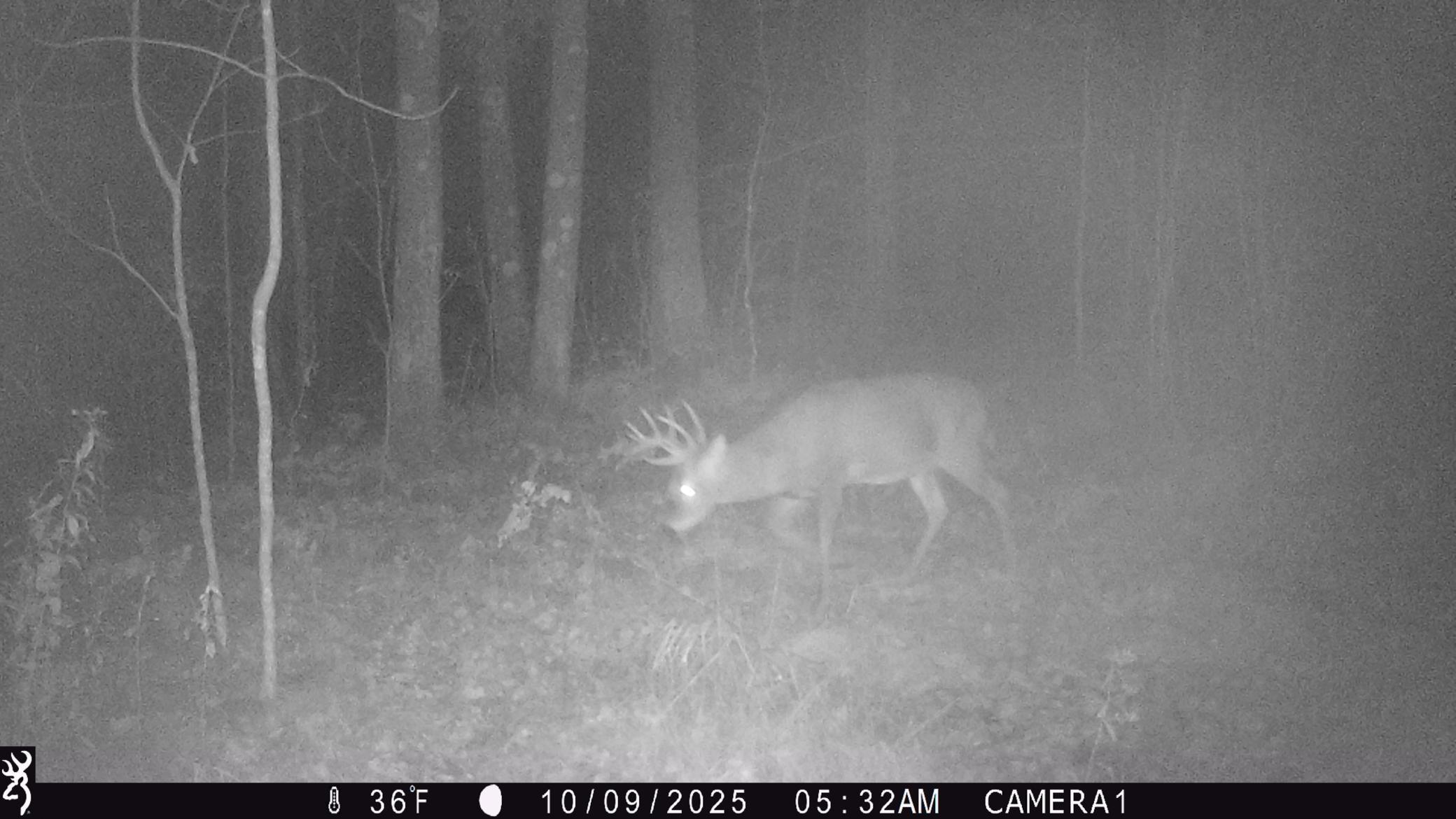 3781 Olympic Street Isle, MN 56342 - Photo 63 of 103