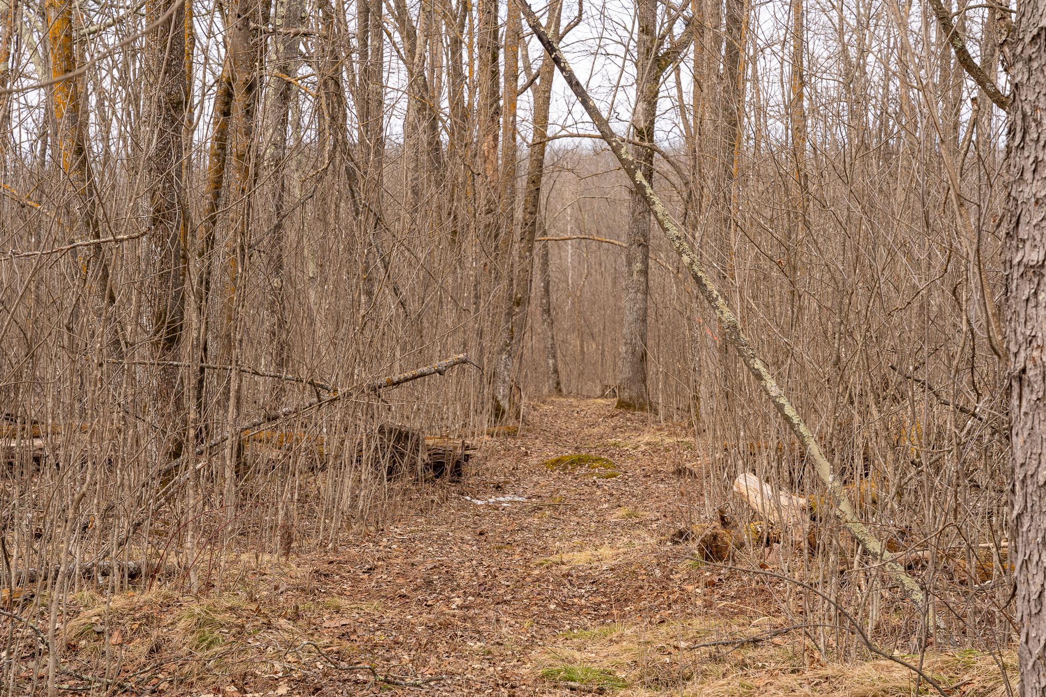 3781 Olympic Street Isle, MN 56342 - Photo 64 of 103