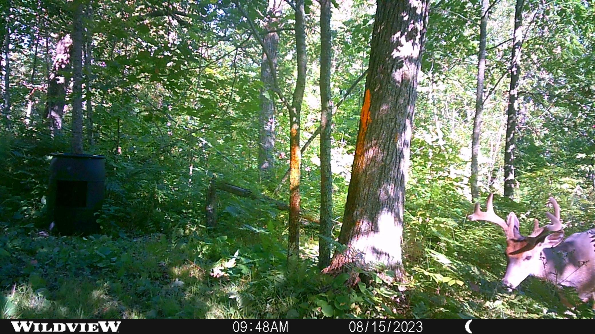 3781 Olympic Street Isle, MN 56342 - Photo 68 of 103