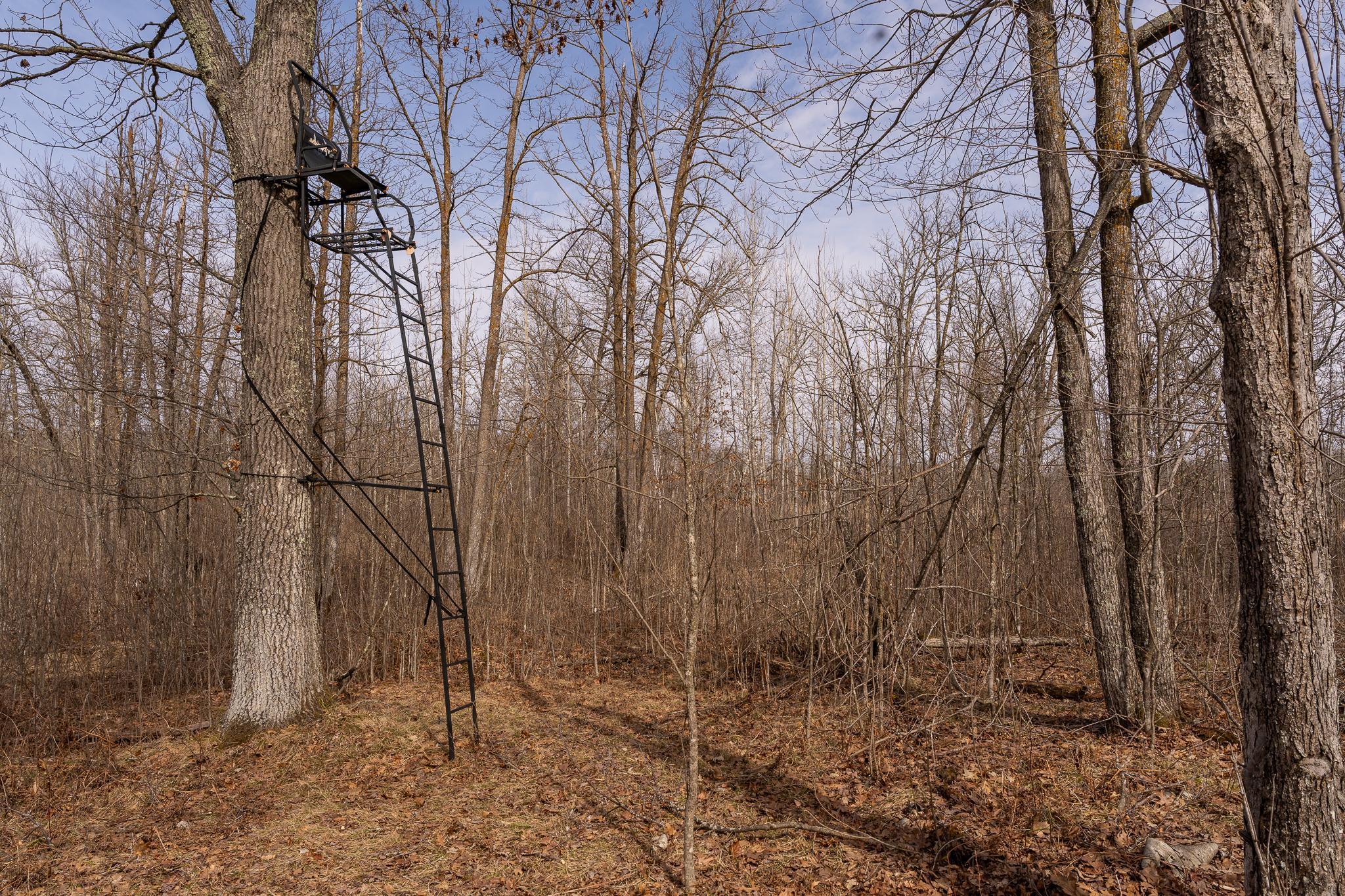 3781 Olympic Street Isle, MN 56342 - Photo 69 of 103