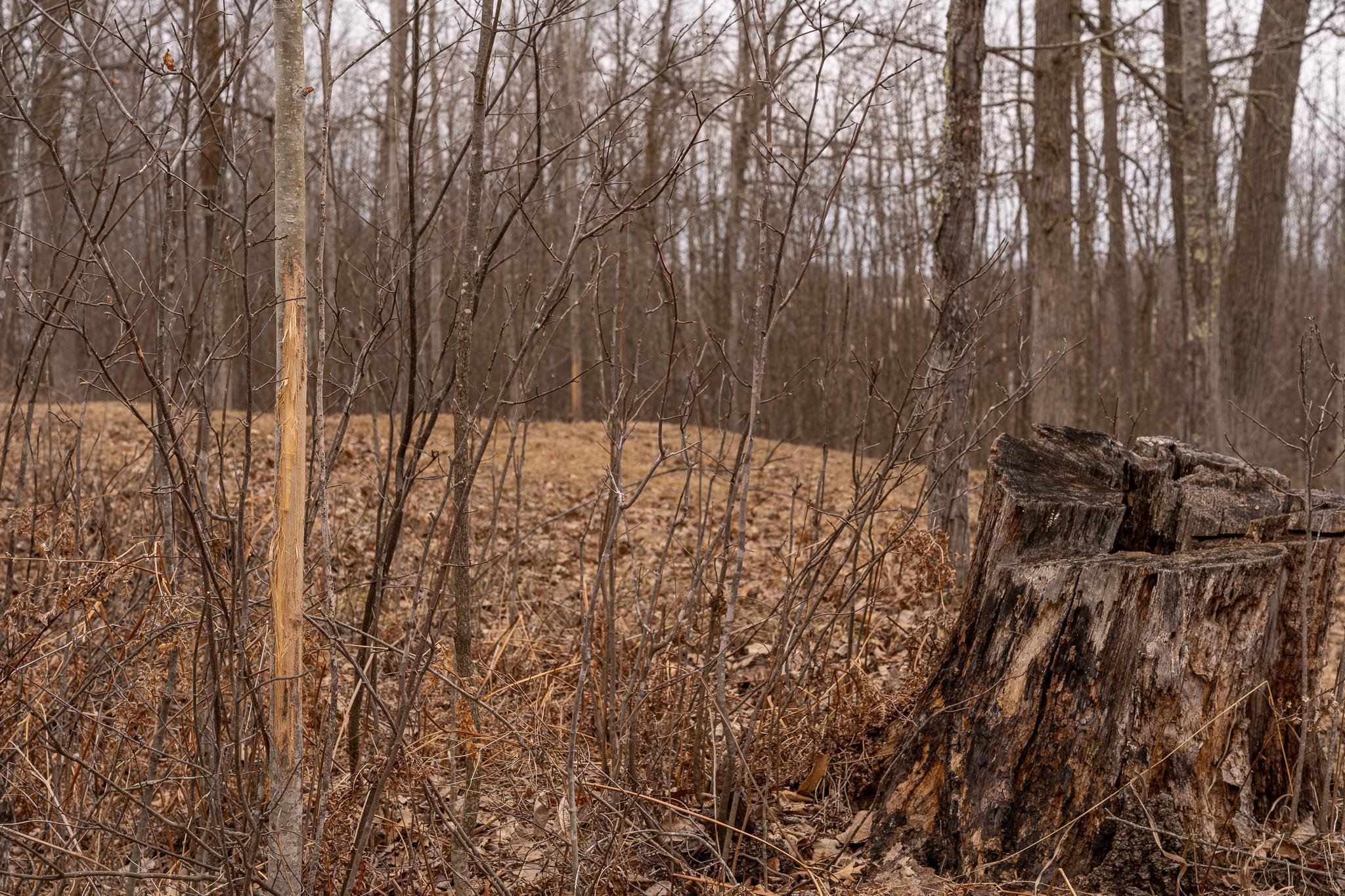 3781 Olympic Street Isle, MN 56342 - Photo 72 of 103