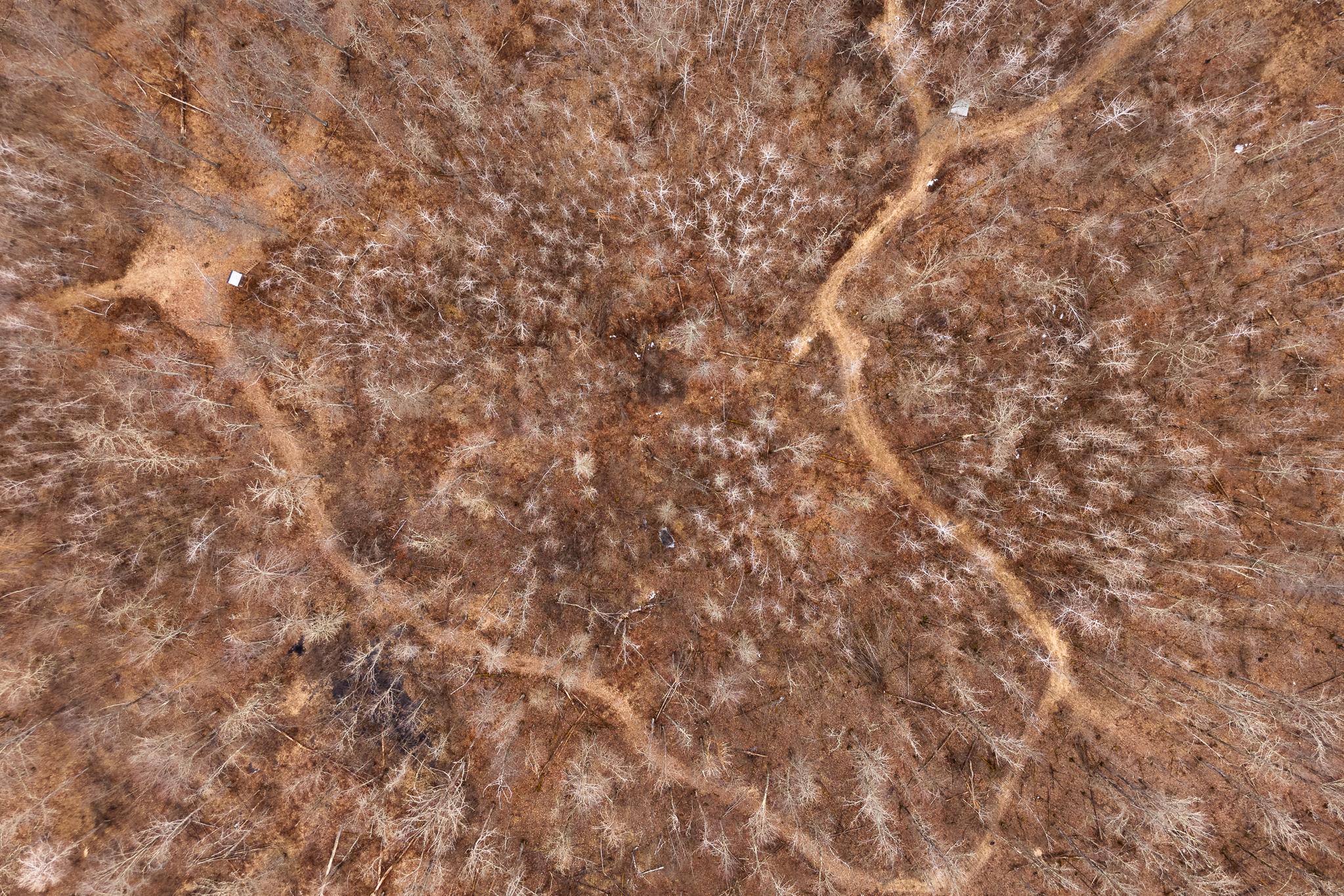 3781 Olympic Street Isle, MN 56342 - Photo 73 of 103