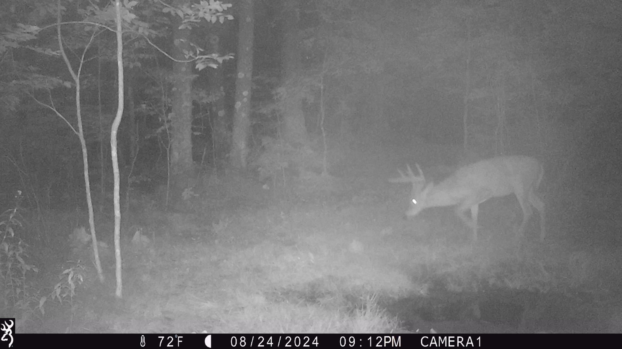 3781 Olympic Street Isle, MN 56342 - Photo 74 of 103