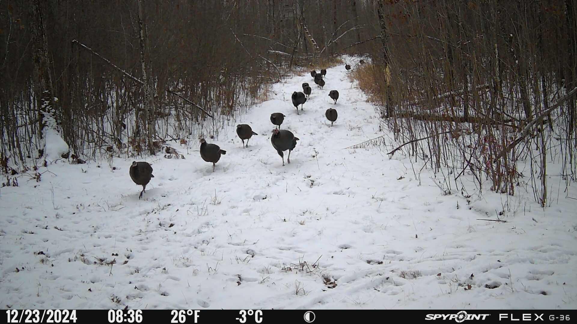 3781 Olympic Street Isle, MN 56342 - Photo 76 of 103