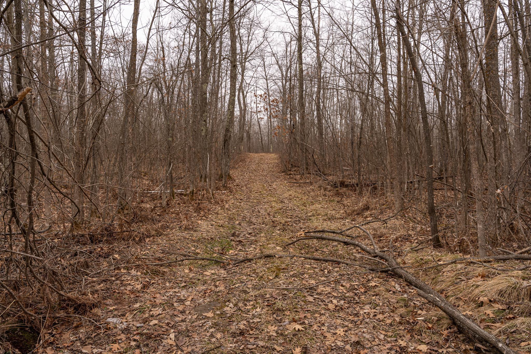 3781 Olympic Street Isle, MN 56342 - Photo 80 of 103