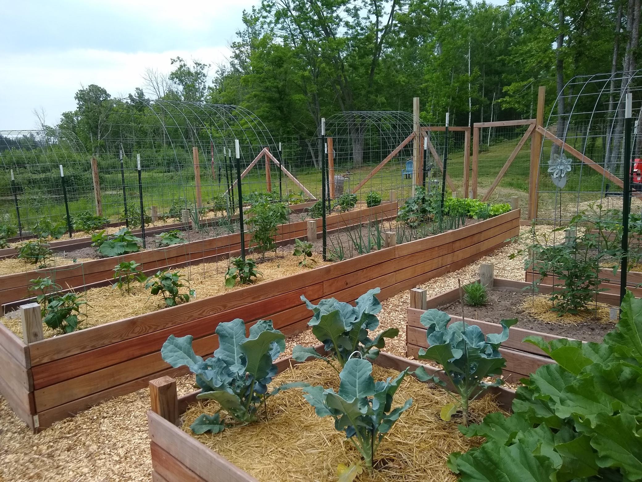 3781 Olympic Street Isle, MN 56342 - Photo 83 of 103