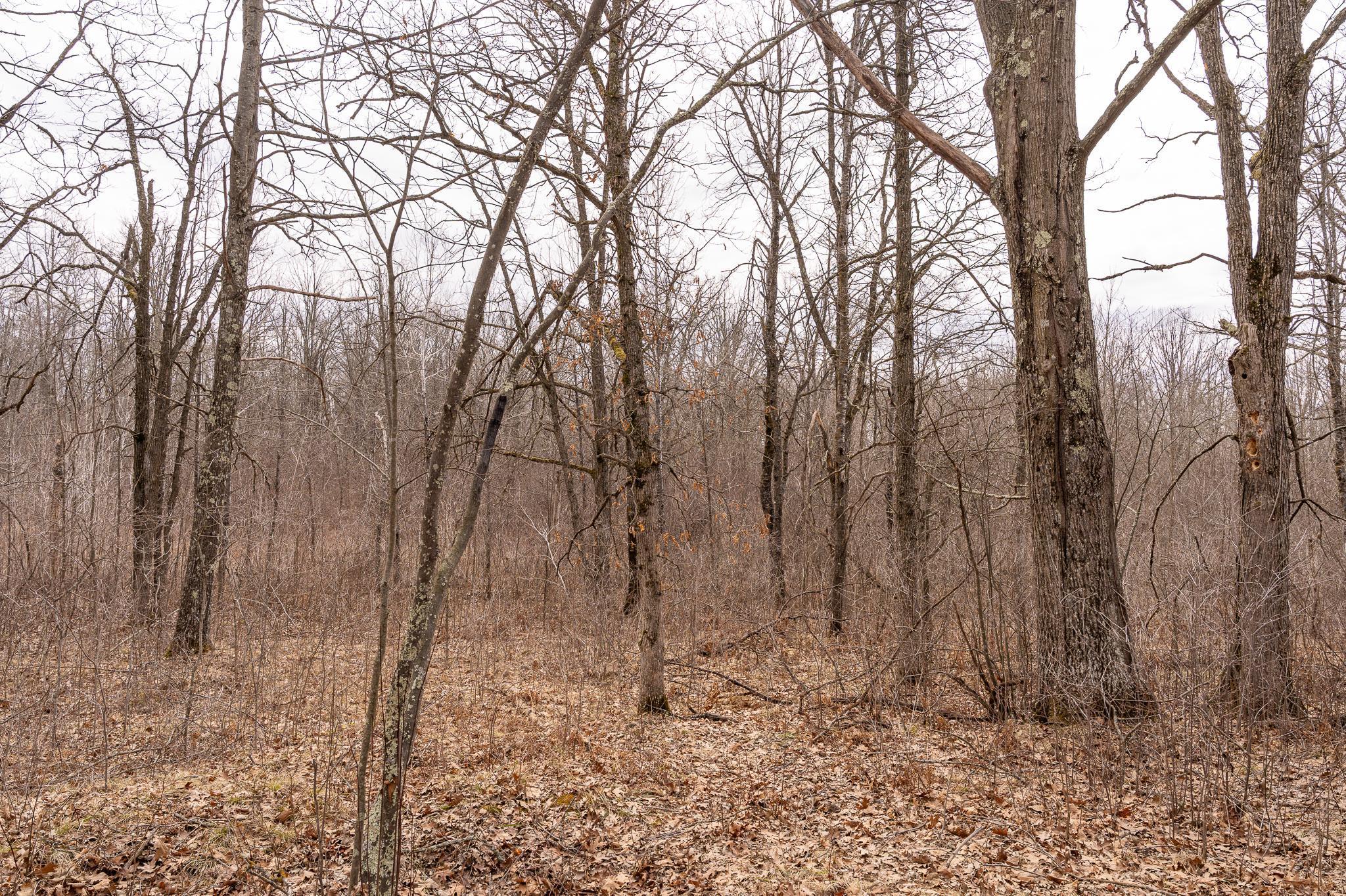 3781 Olympic Street Isle, MN 56342 - Photo 84 of 103