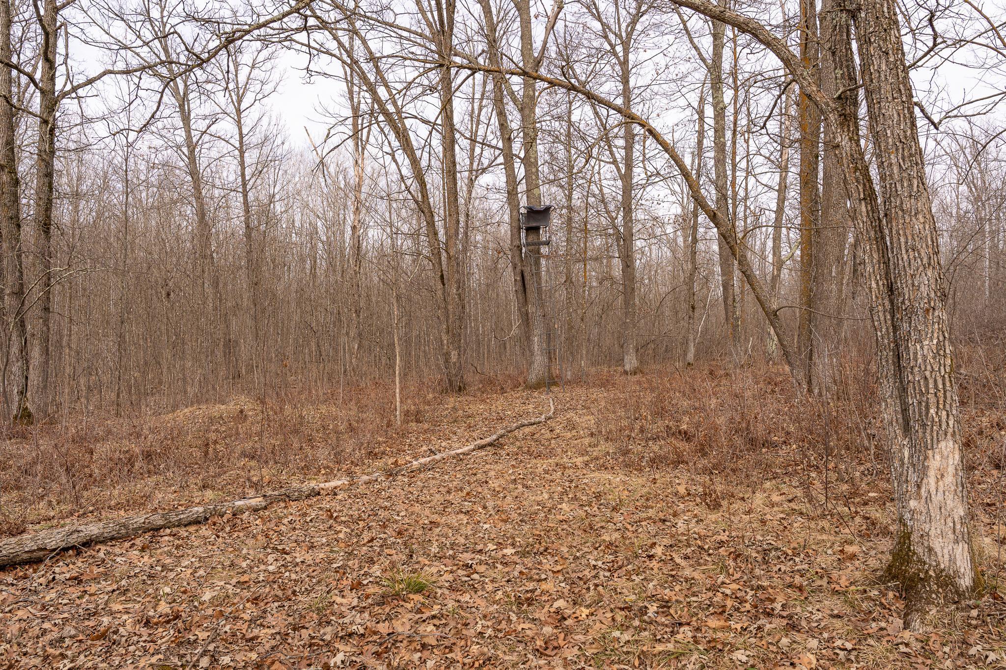 3781 Olympic Street Isle, MN 56342 - Photo 88 of 103