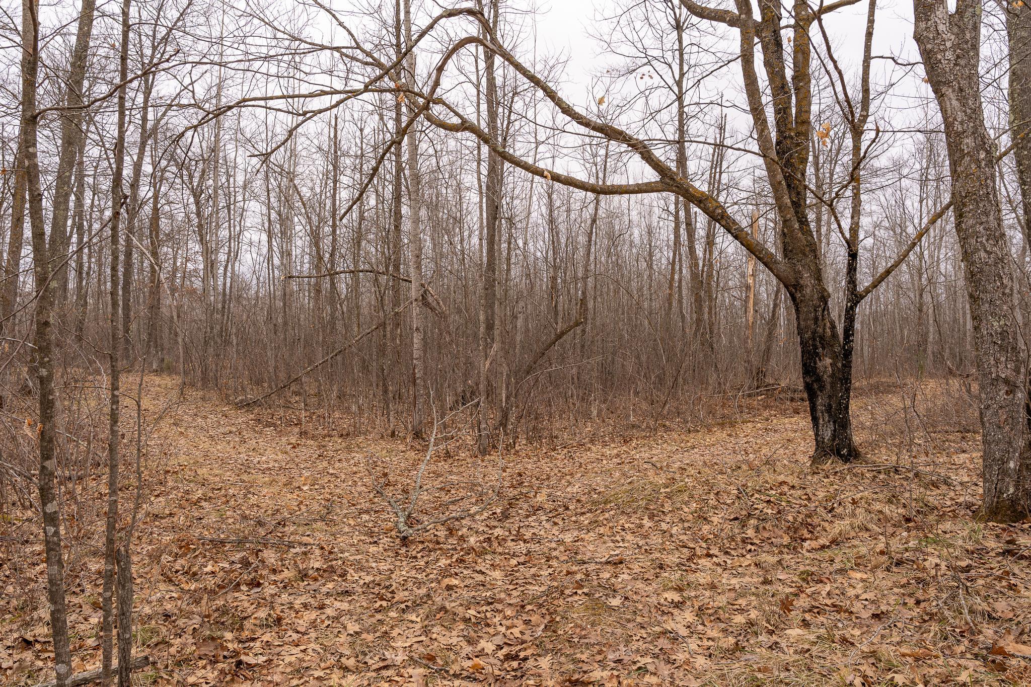 3781 Olympic Street Isle, MN 56342 - Photo 90 of 103