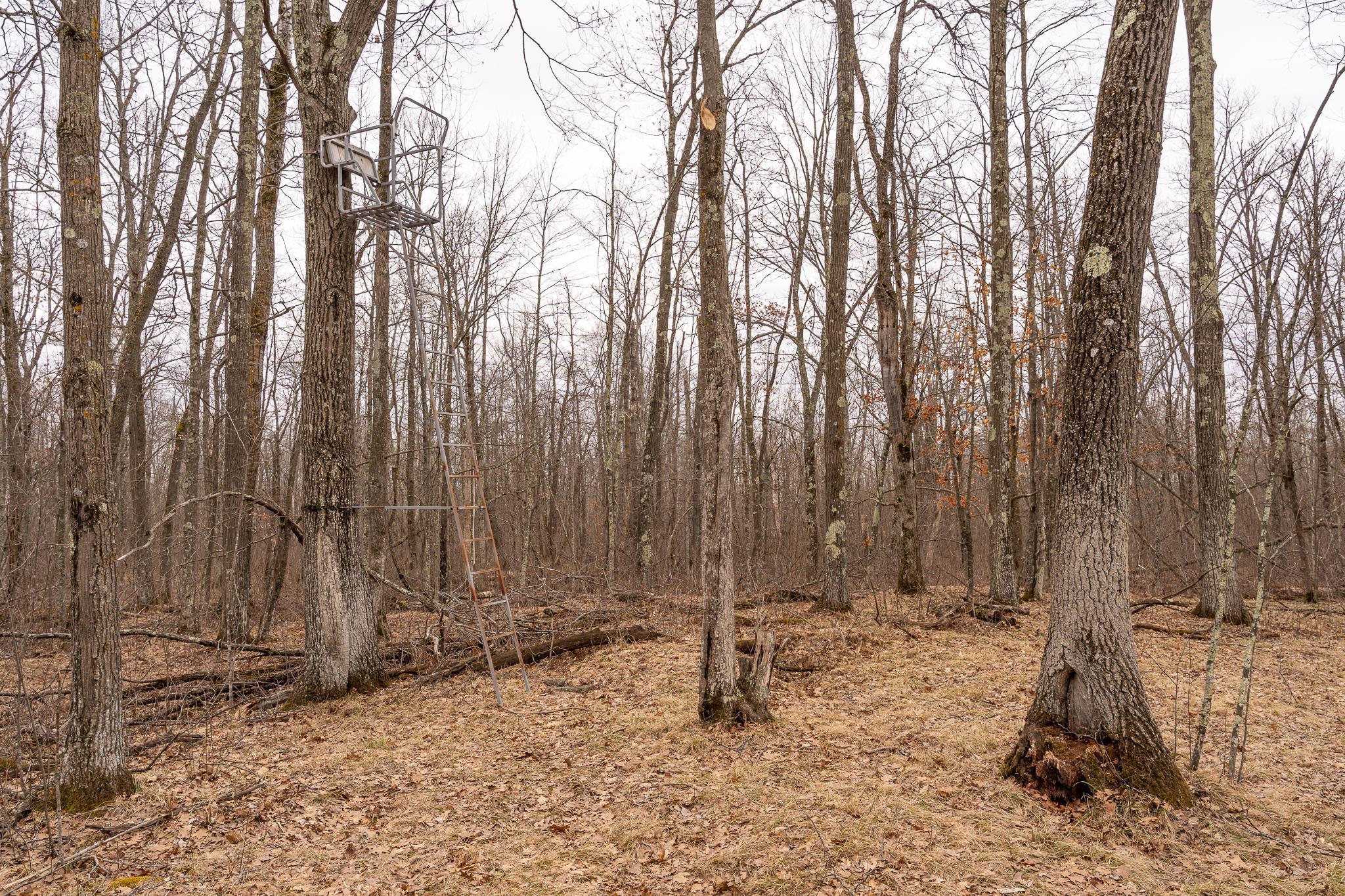 3781 Olympic Street Isle, MN 56342 - Photo 92 of 103