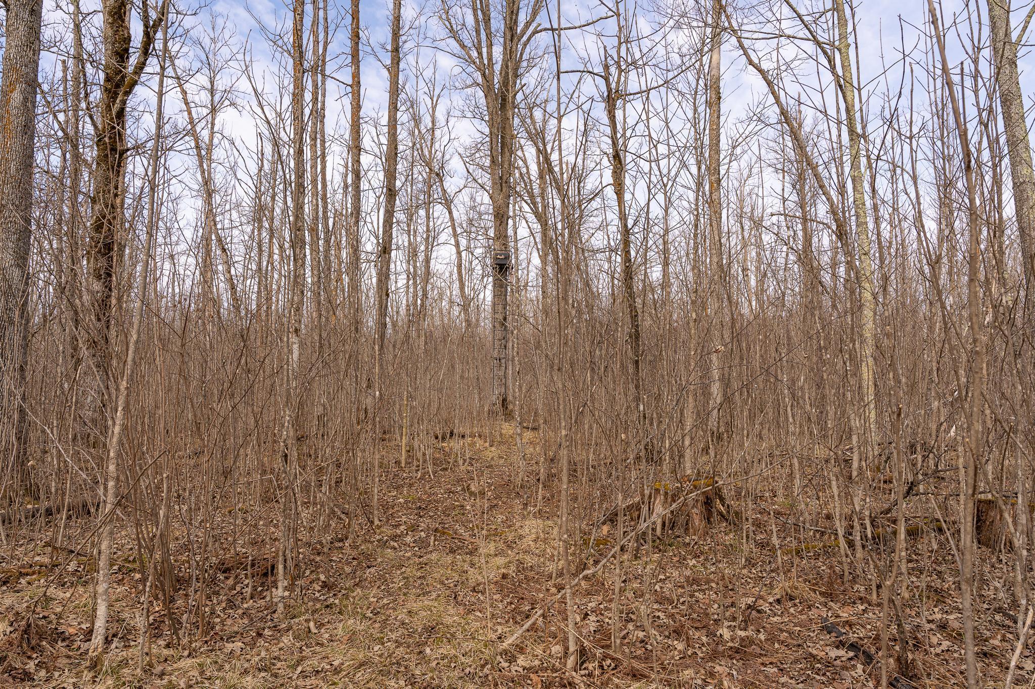 3781 Olympic Street Isle, MN 56342 - Photo 94 of 103