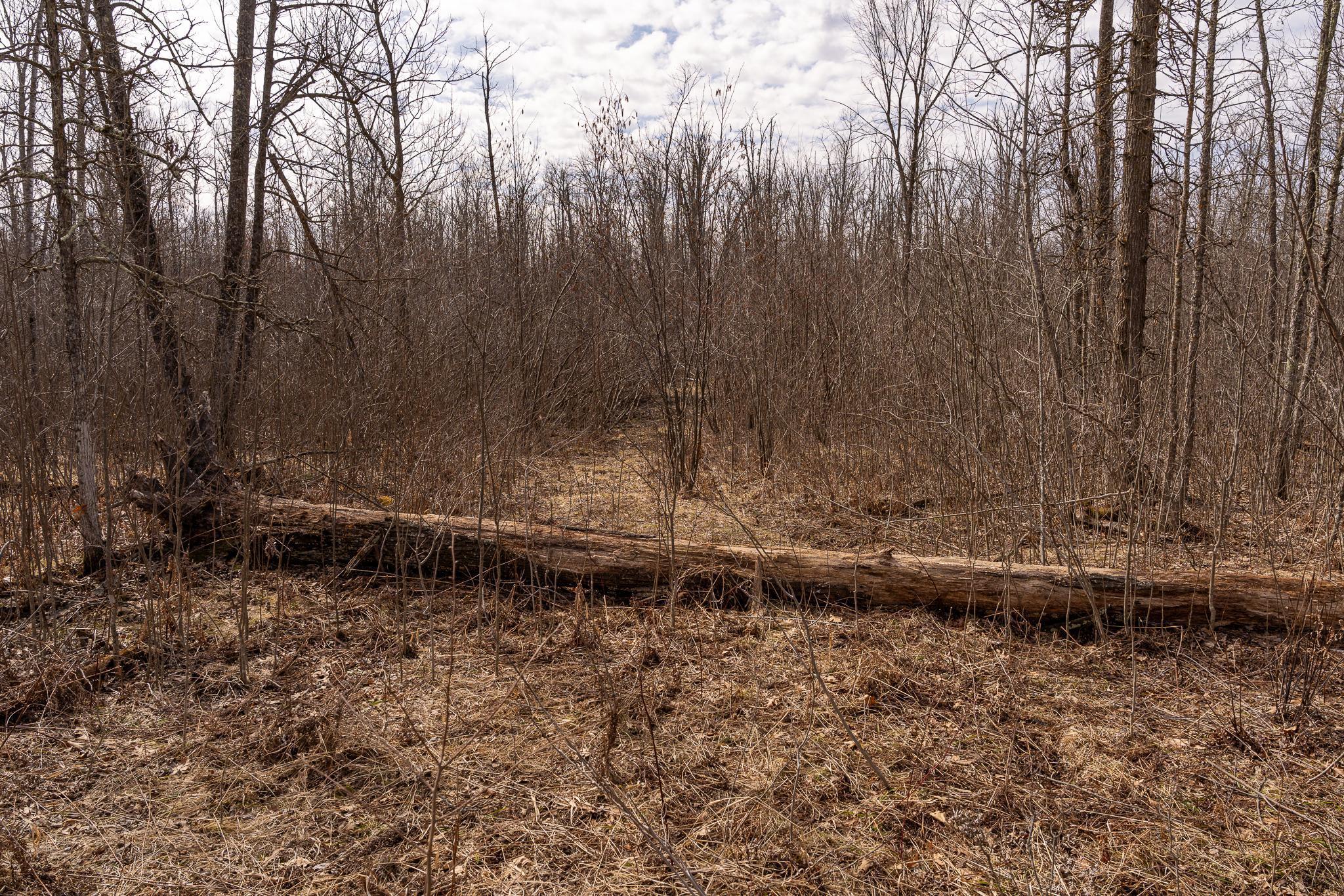 3781 Olympic Street Isle, MN 56342 - Photo 96 of 103