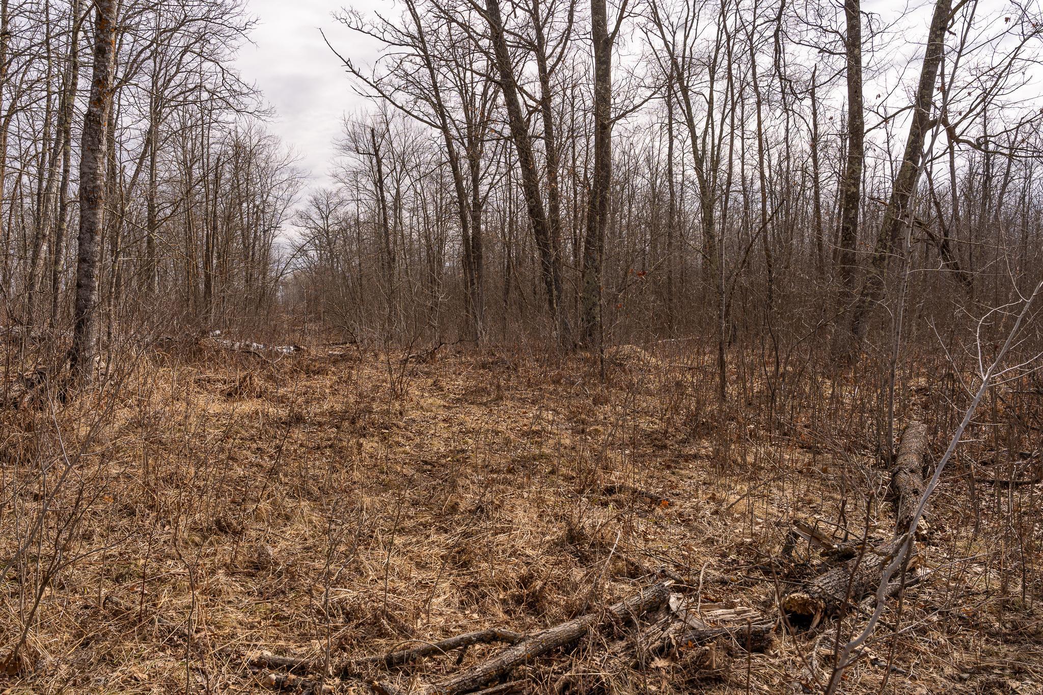 3781 Olympic Street Isle, MN 56342 - Photo 99 of 103