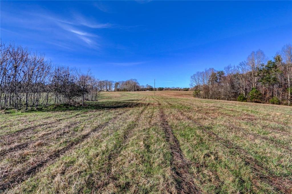 200 Proffitt Road Ruffin, NC 27326 - Photo 19 of 24