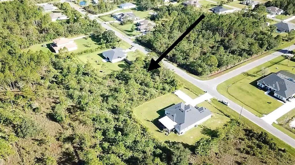 Ortega Street Orlando, FL 32833 - Photo 1 of 10