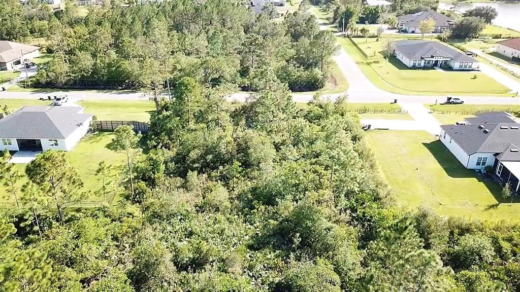 Ortega Street Orlando, FL 32833 - Photo 5 of 10
