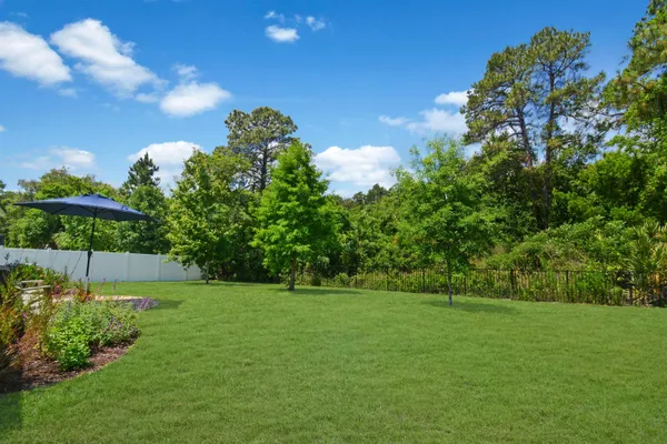 a view of a garden with a bench in the background