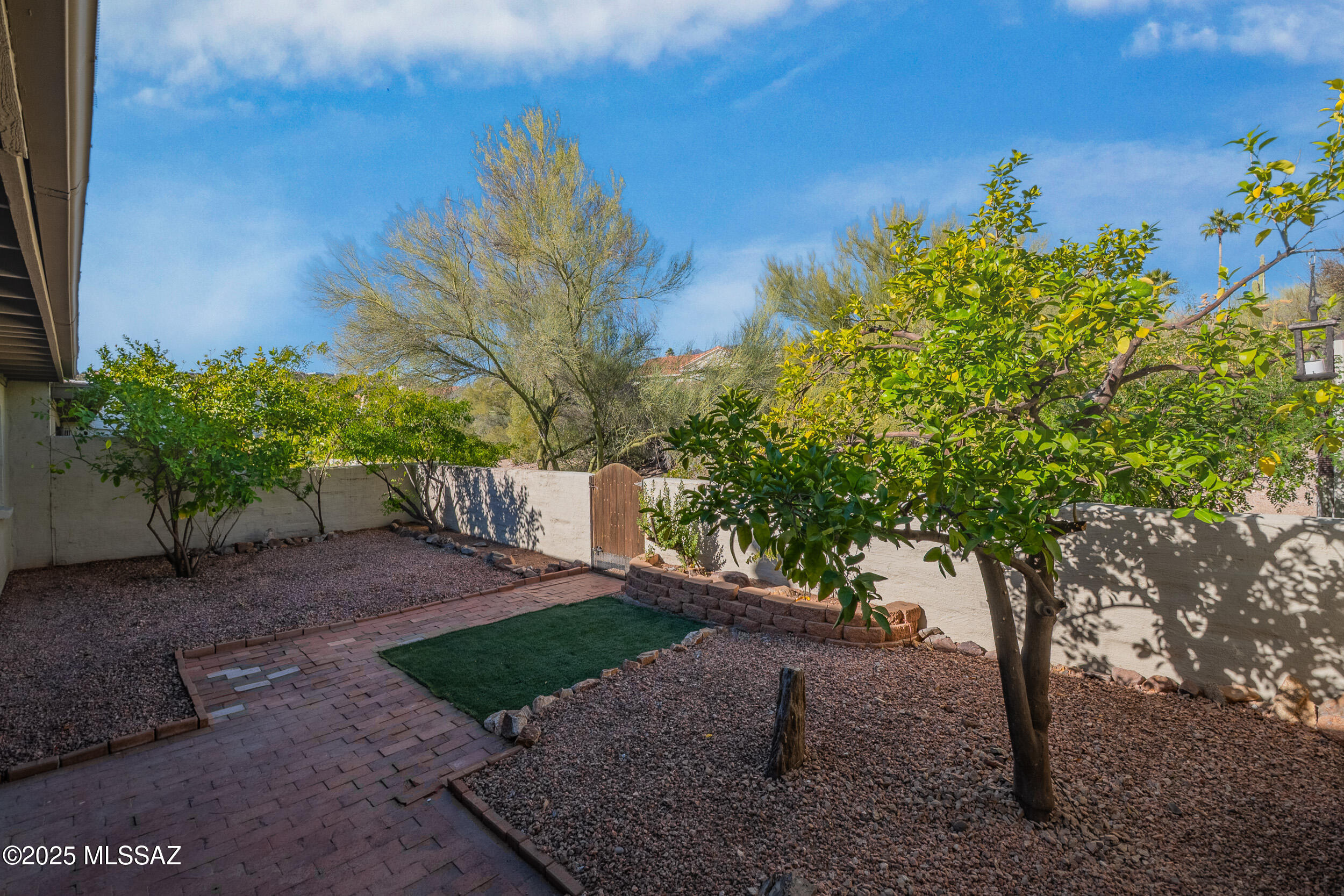 7487 East Wandering Road Tucson, AZ 85750 - Photo 22 of 31 back yard