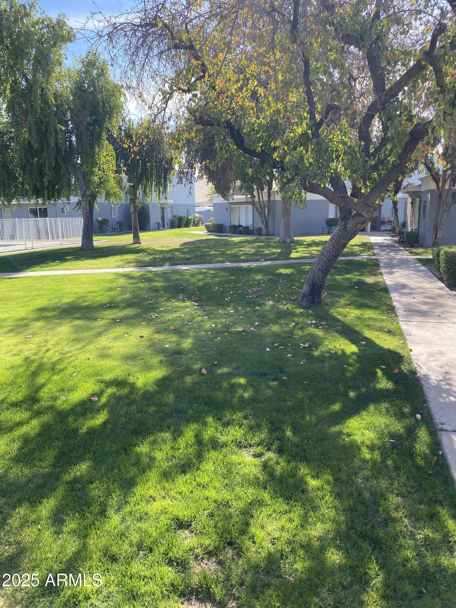 2687 West Ocotillo Road Phoenix, AZ 85017 - Photo 8 of 21 Ocotillo - Grounds 2