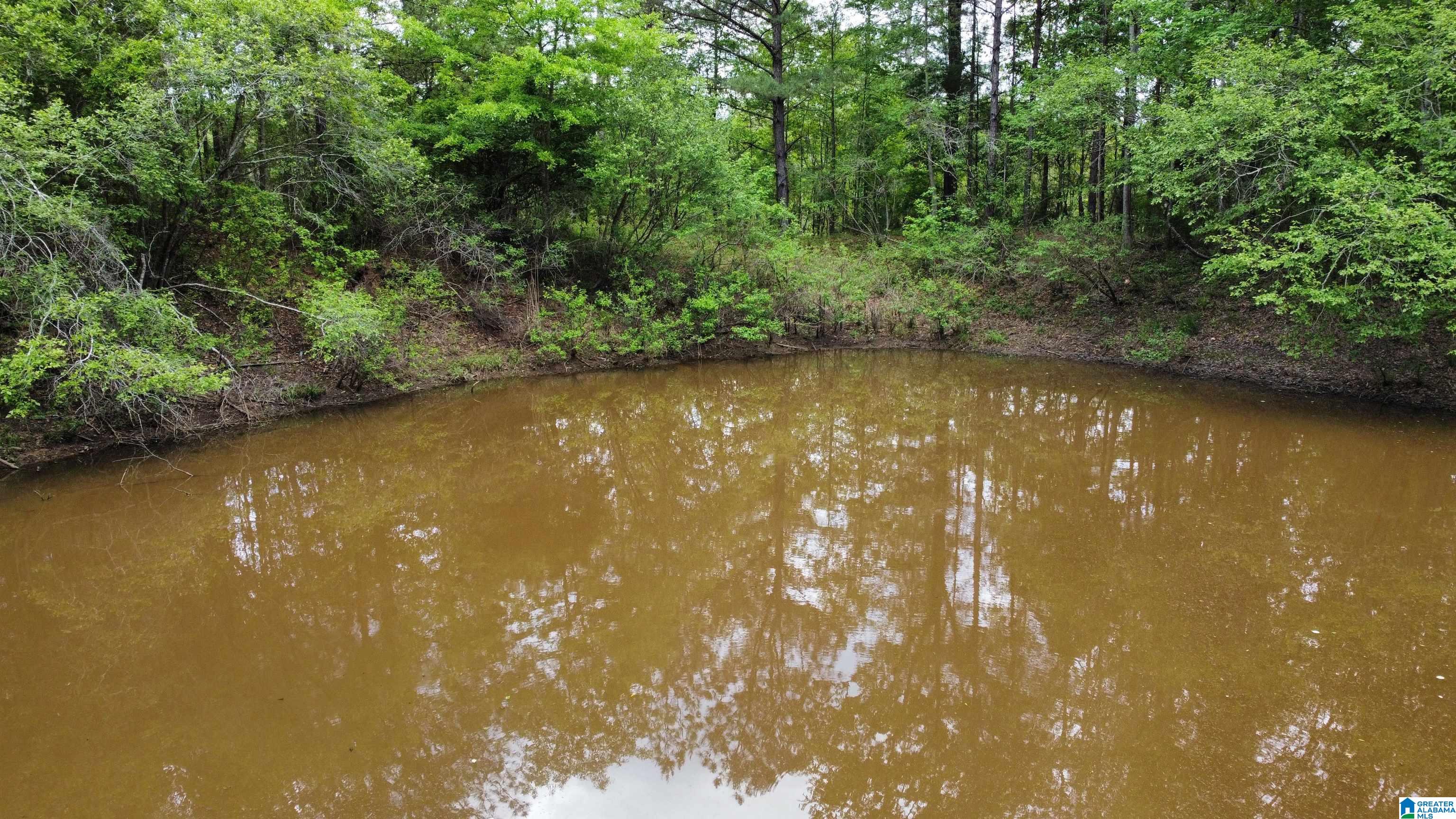 0 County Road 44 Linden, AL 36748 - Photo 29 of 48