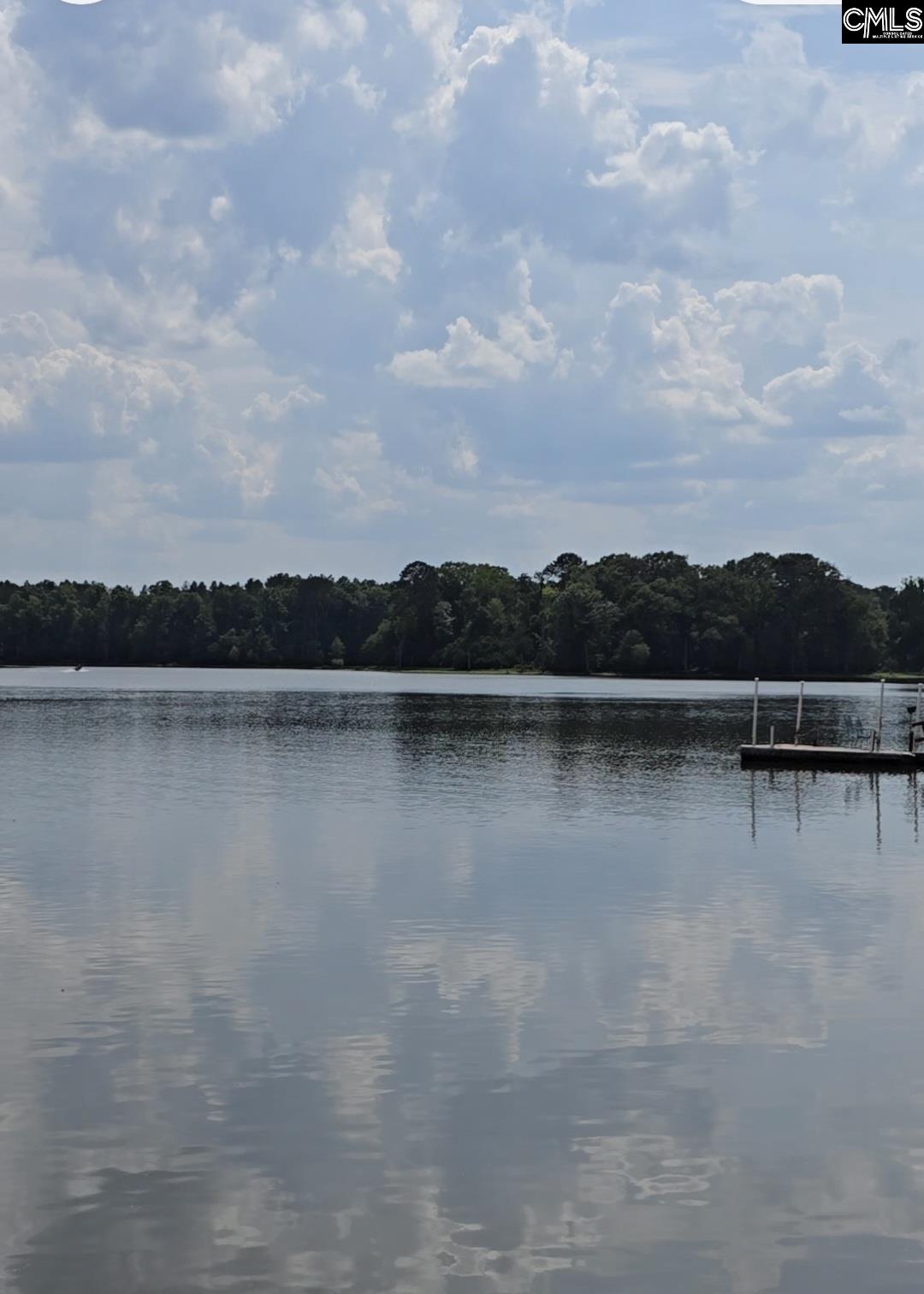 1193 Harvest Road Saluda, SC 29138 - Photo 1 of 9