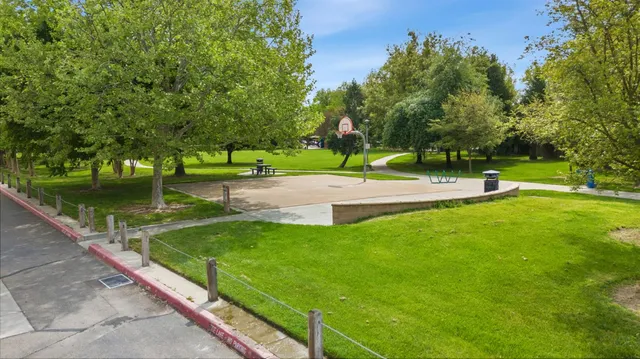 a view of park with large trees