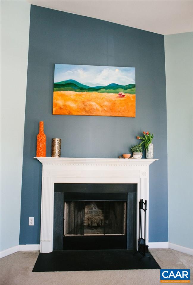 141 Tulip Road Ruckersville, VA 22968 - Photo 13 of 47 a room with a fireplace and wooden floor