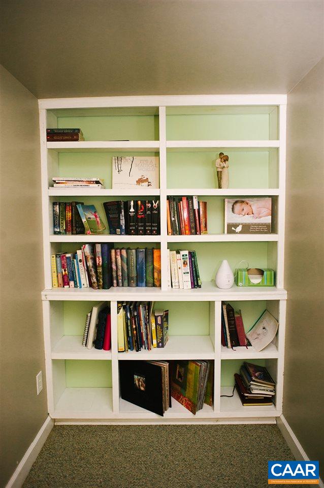 141 Tulip Road Ruckersville, VA 22968 - Photo 45 of 47 a room with a book shelf