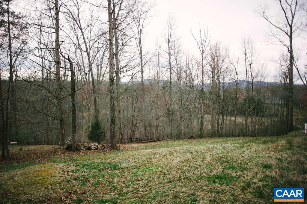 141 Tulip Road Ruckersville, VA 22968 - Photo 5 of 47 a view of backyard with tree