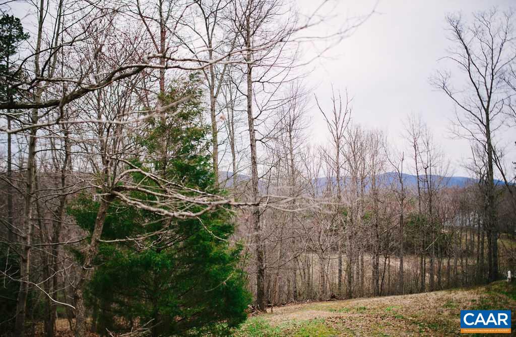 141 Tulip Road Ruckersville, VA 22968 - Photo 6 of 47 a backyard of a house with lots of green space