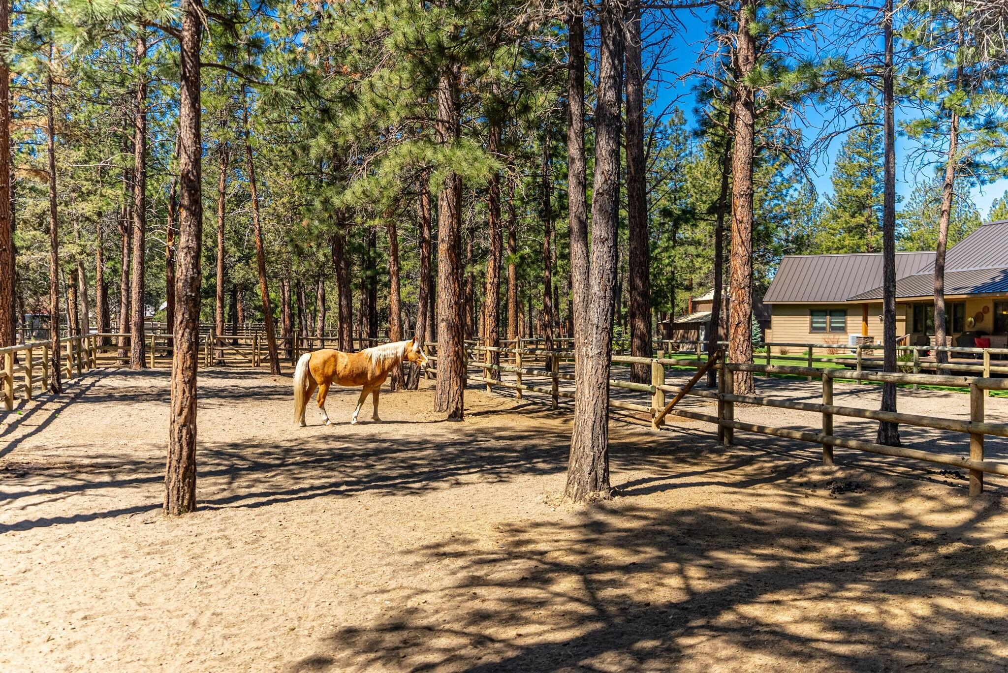 69255 Crooked Horseshoe Road Sisters, OR 97759 - Photo 106 of 154