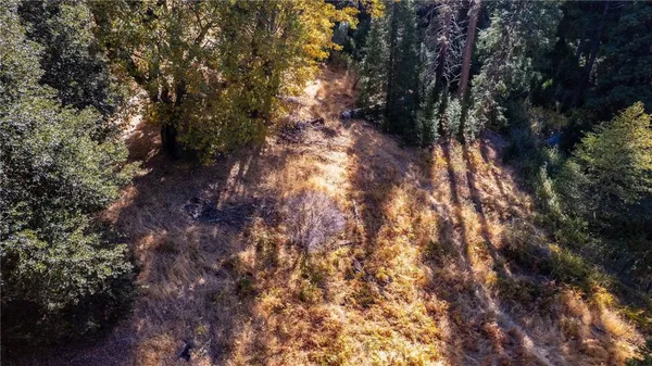 $16,000 | 0 Mojave Road, Cedarpines Park, CA 92322