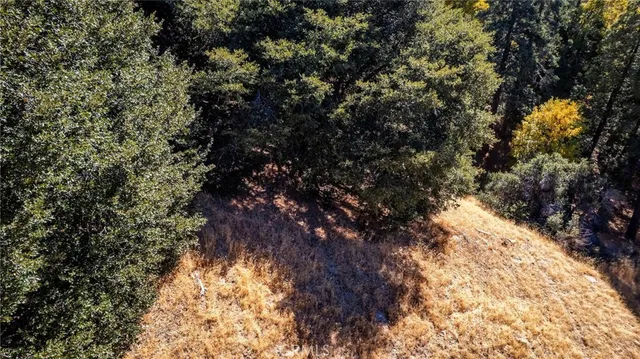 $16,000 | 0 Mojave Road, Cedarpines Park, CA 92322