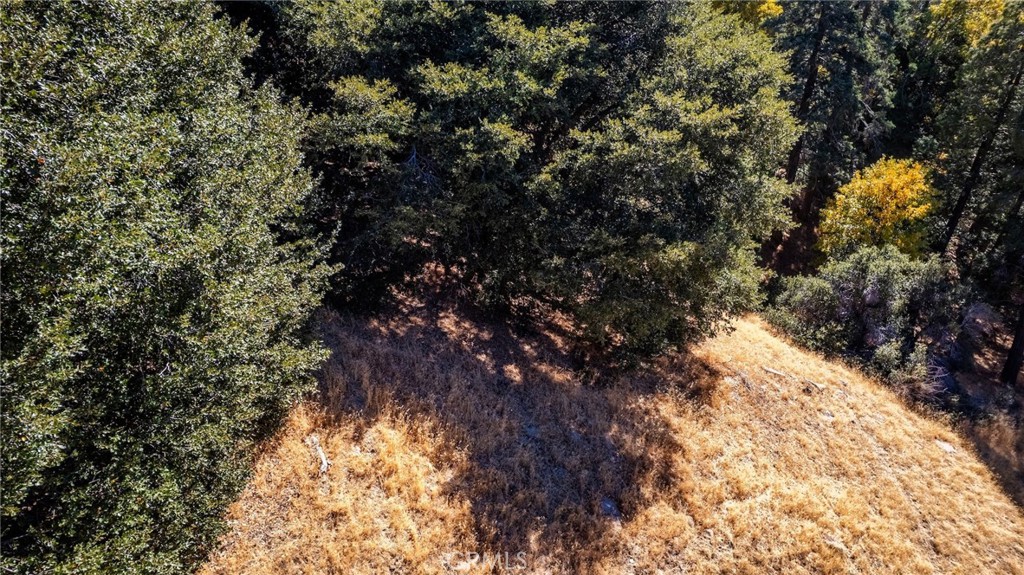 0 Mojave Road Cedarpines Park, CA 92322 - Photo 11 of 41