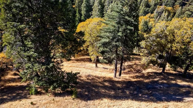 $16,000 | 0 Mojave Road, Cedarpines Park, CA 92322
