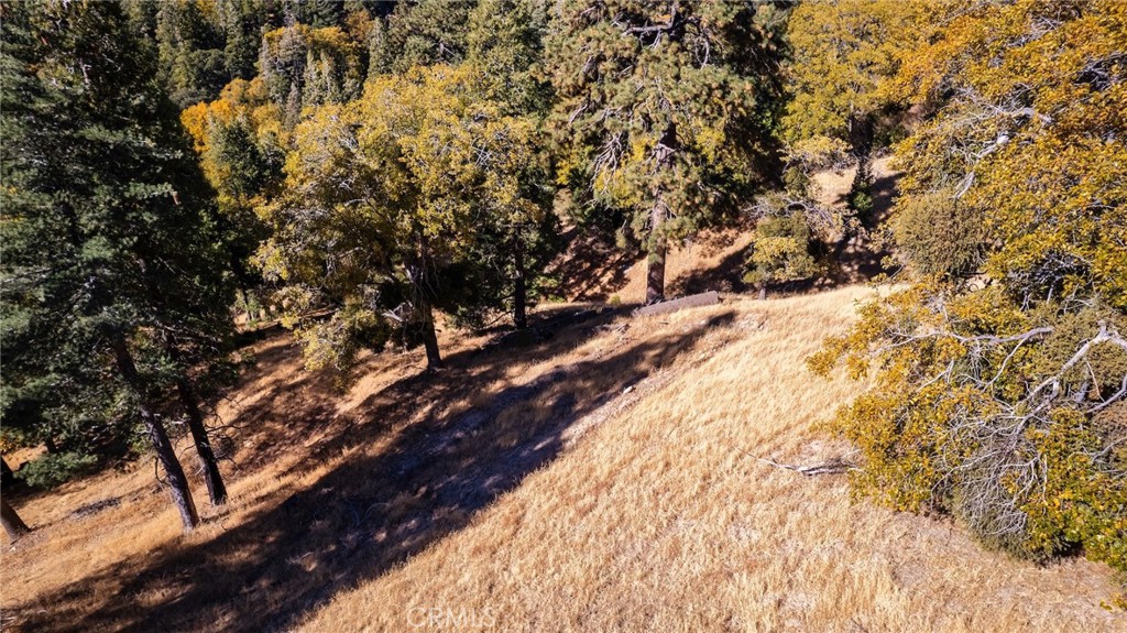 0 Mojave Road Cedarpines Park, CA 92322 - Photo 13 of 41