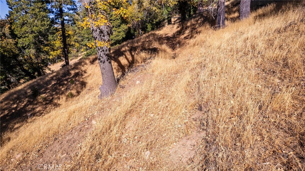 0 Mojave Road Cedarpines Park, CA 92322 - Photo 16 of 41