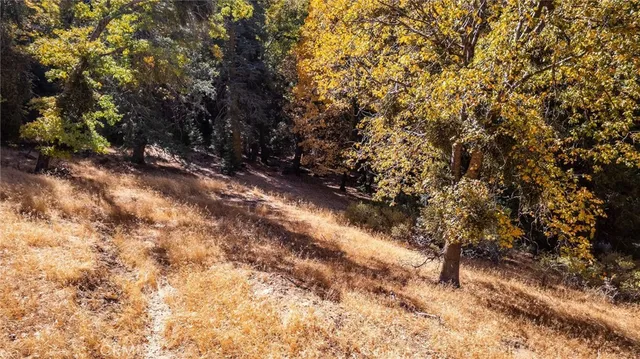 $16,000 | 0 Mojave Road, Cedarpines Park, CA 92322