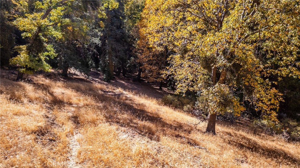 0 Mojave Road Cedarpines Park, CA 92322 - Photo 17 of 41