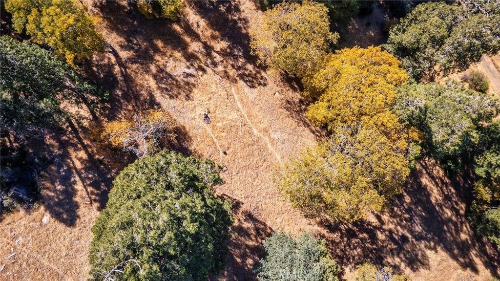 0 Mojave Road Cedarpines Park, CA 92322 - Photo 18 of 41