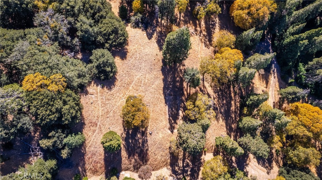 0 Mojave Road Cedarpines Park, CA 92322 - Photo 19 of 41