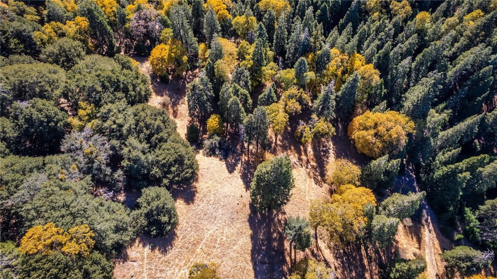 0 Mojave Road Cedarpines Park, CA 92322 - Photo 20 of 41