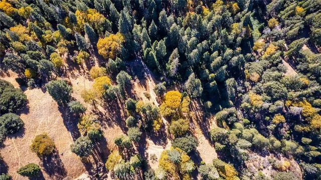 $16,000 | 0 Mojave Road, Cedarpines Park, CA 92322