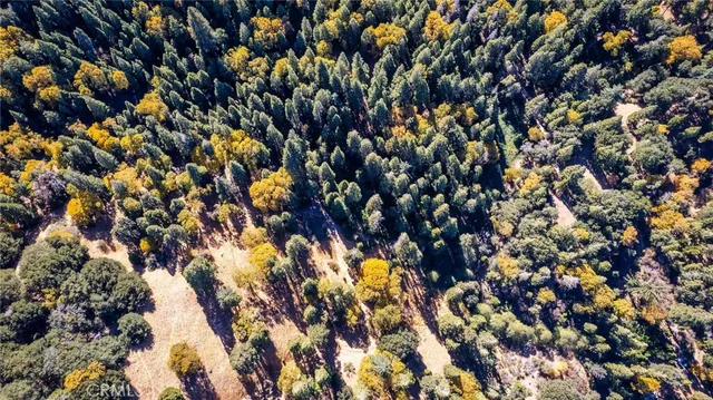 $16,000 | 0 Mojave Road, Cedarpines Park, CA 92322